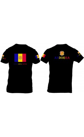Andorra national flag...