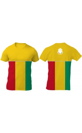 Guinea flag t-shirt Men's regular fit