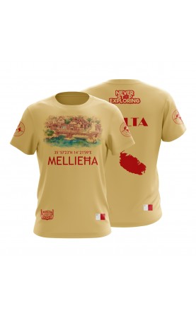 Malta men's regular fit t-shirt. Travel souvenir summer gift. Amfanwear.